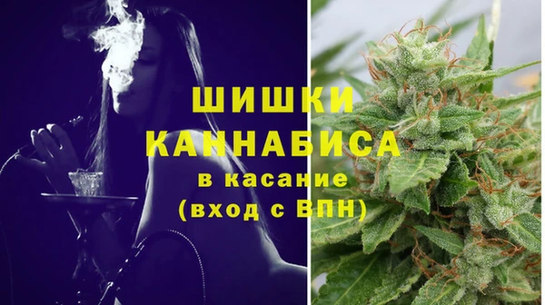 PSILOCYBIN Каменка